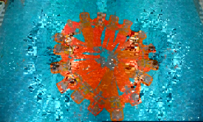 A group of people in orange suits and life jackets form a circle while floating in a pool, viewed from above.